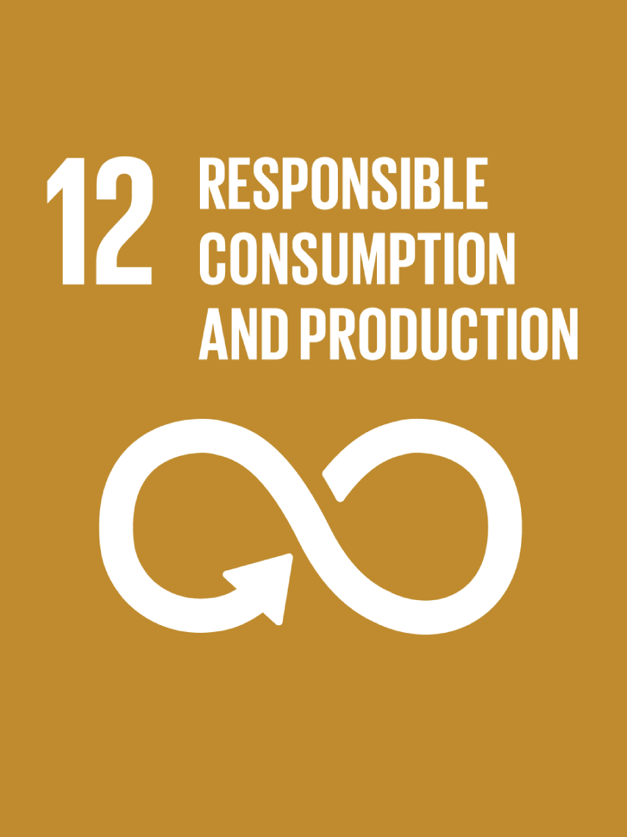 responsible consumption and production